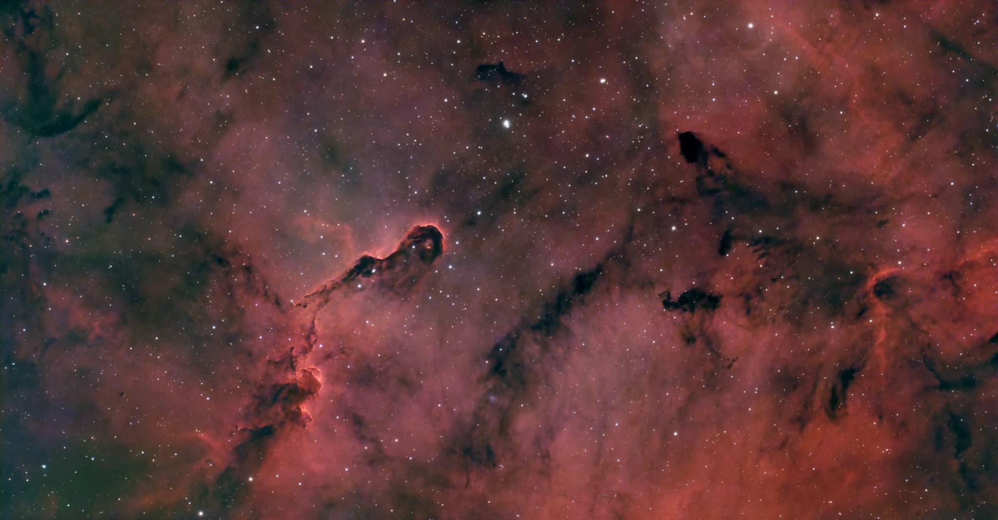 Elephant’s Trunk Nebula (IC 1396A)
