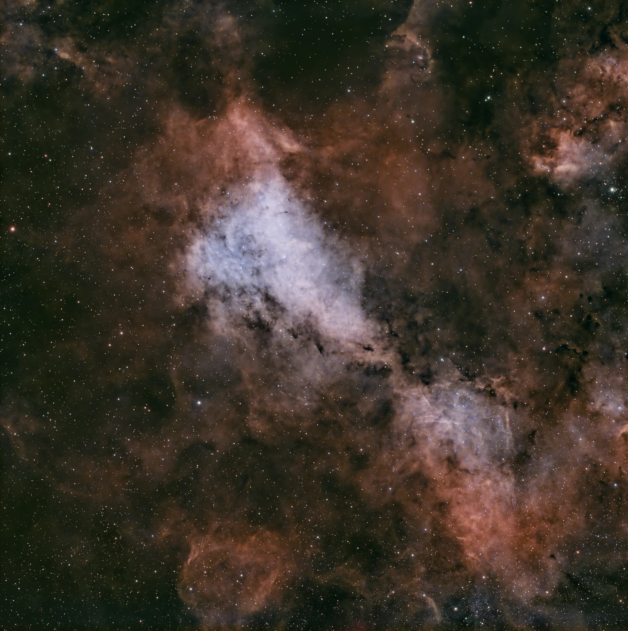IC 1311