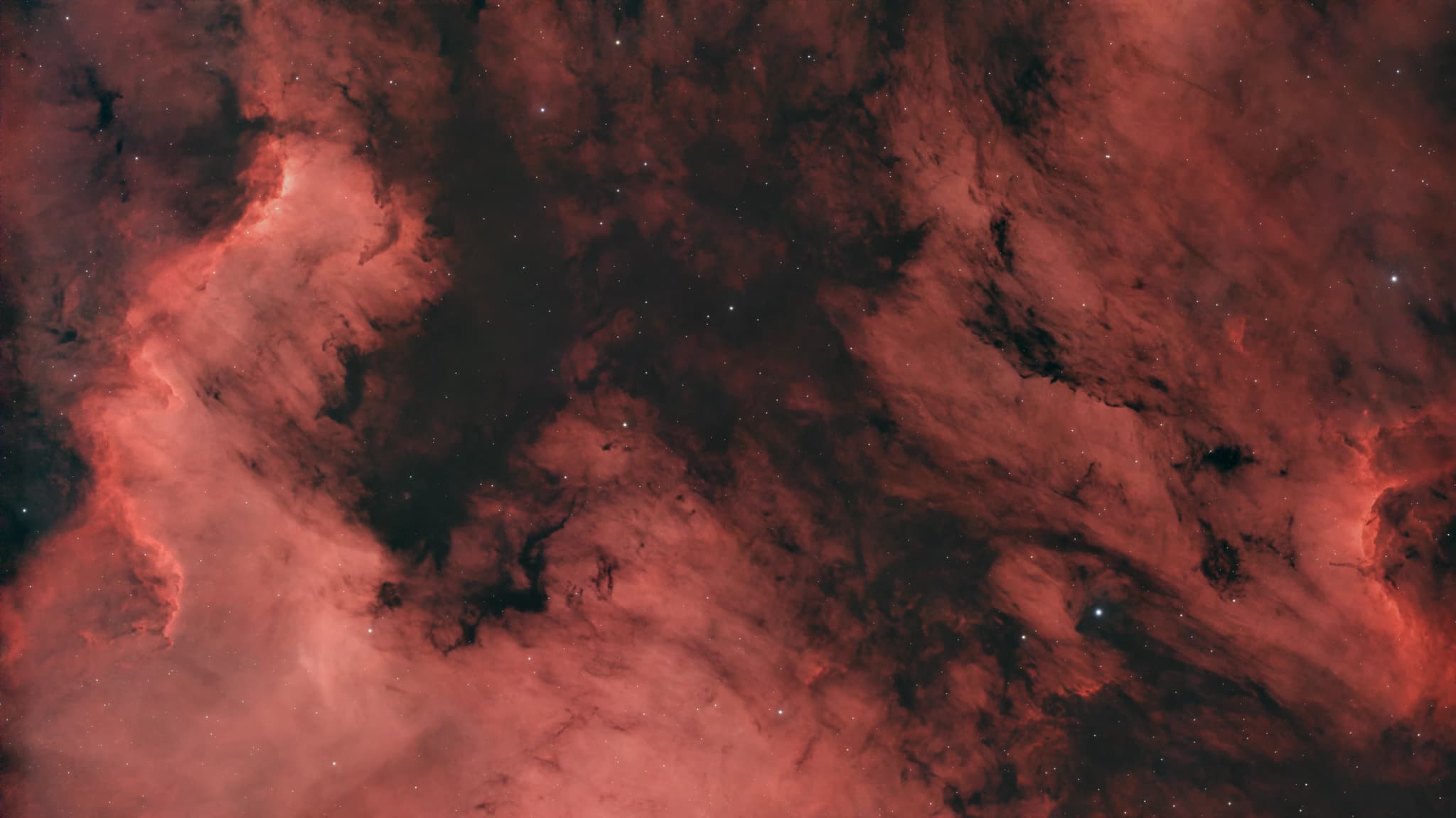 NGC 7000 - The North America Nebula
